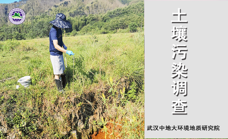 团风县第二次污染源普查及技术咨询、质量评估第三方机构服务项目(图1)